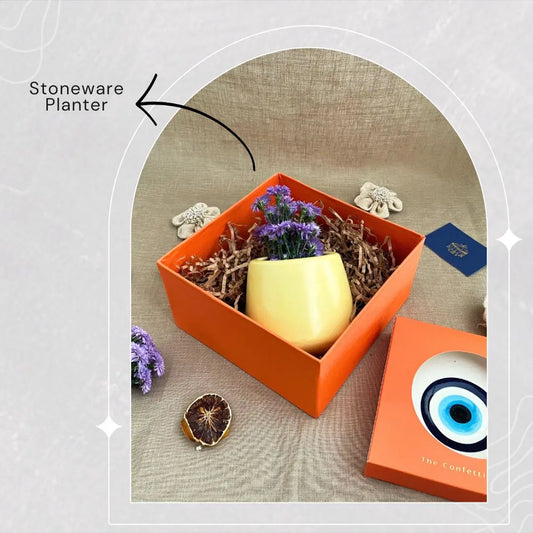 Rakhi Special | Gift a planter The confetti tree