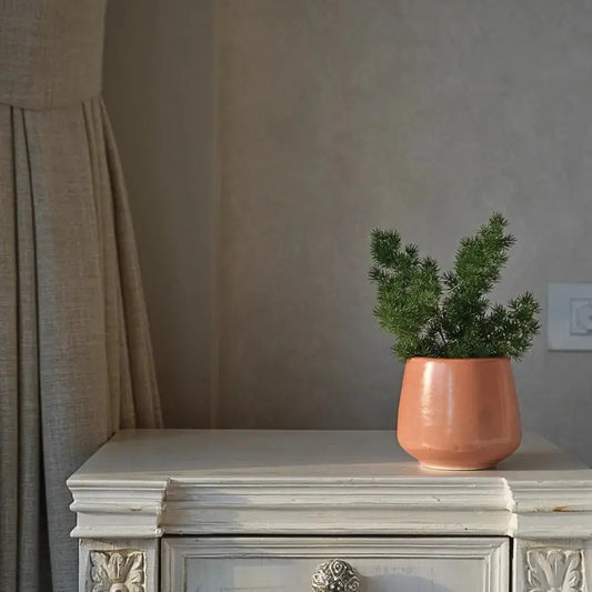 Stoneware Coral Planter | Small The confetti Tree