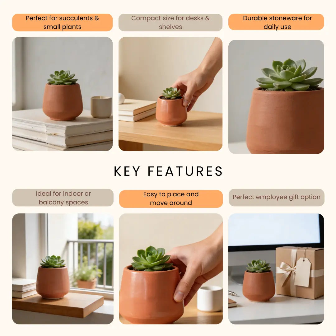 Stoneware Coral Planter | Small The confetti Tree