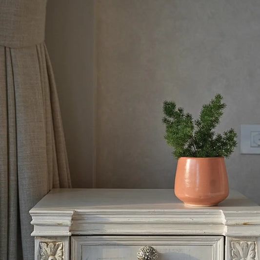 Stoneware Coral Planter | Small The confetti Tree