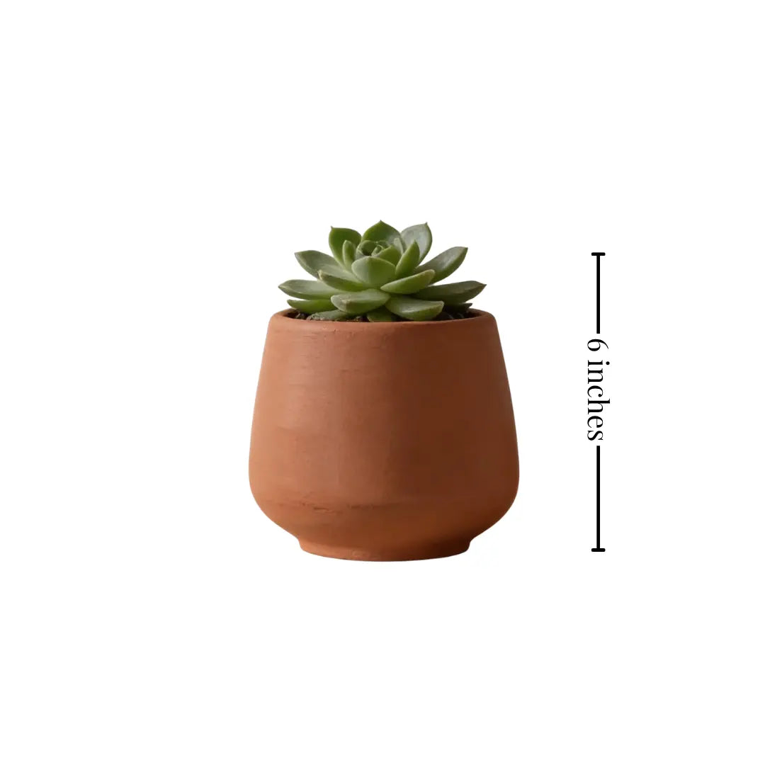 Stoneware Coral Planter | Small The confetti Tree