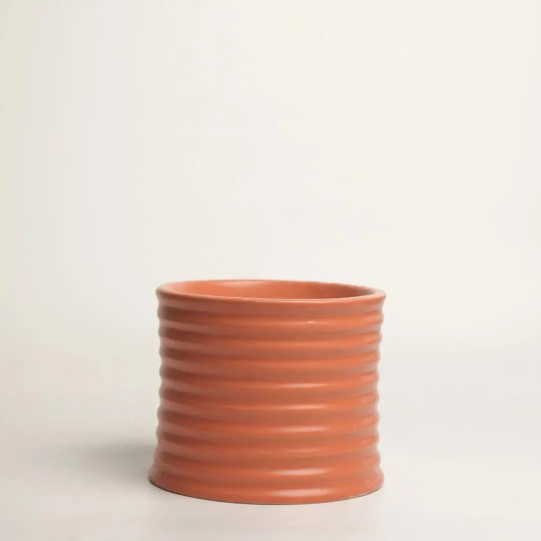 Stoneware Candle | 350g | Orange The confetti tree