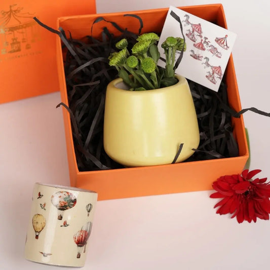 The Serene Bloom Rakhi Gift Box The confetti tree
